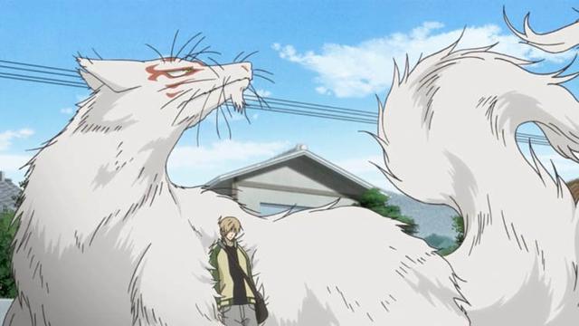 《怪化猫》第二季有望？盘一盘日本经典鬼怪番