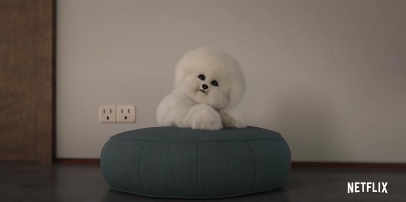 预定爆款！窥探《爱，死亡和机器人》第二季的8集内容