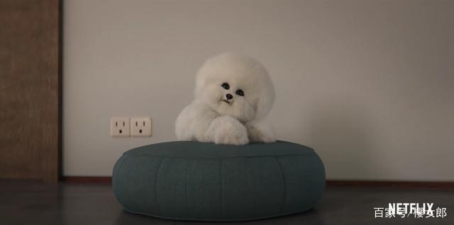 《爱，死亡和机器人第二季》全集上线！