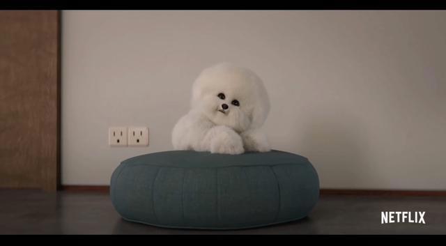 《爱，死亡和机器人》第二季仅8集，新预告公布