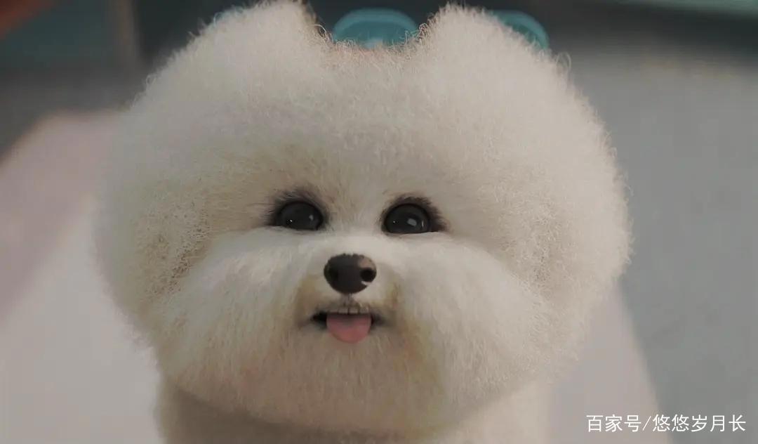 爱，死亡和机器人第二季