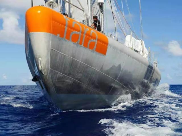 上海未来三周看展指南