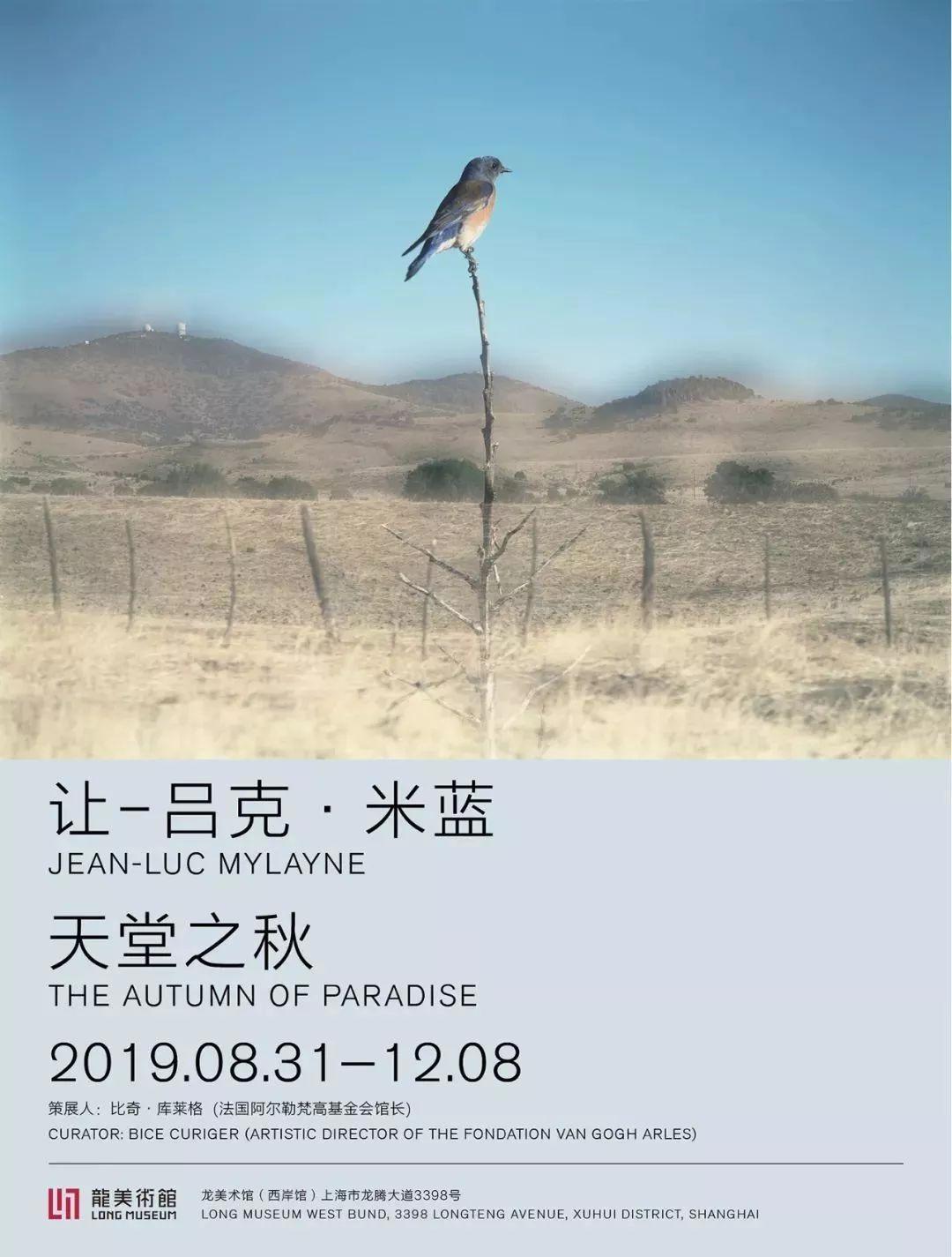 上海未来三周看展指南