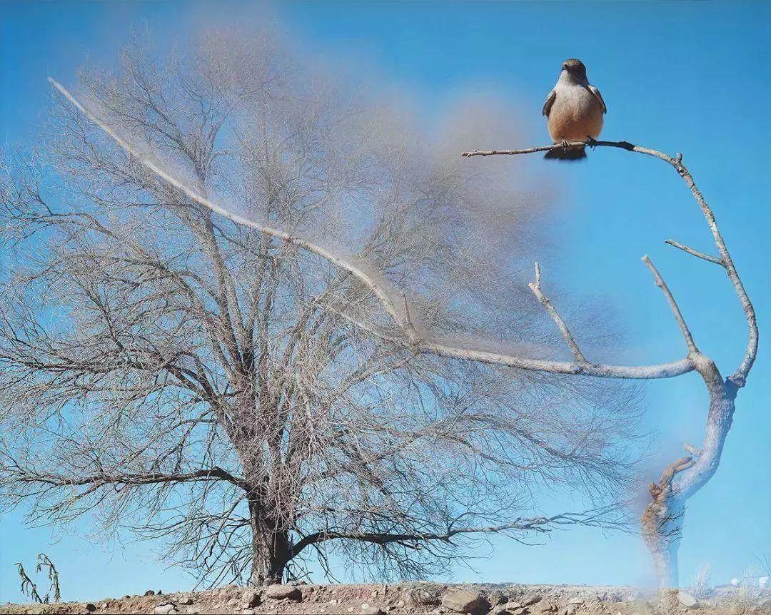 上海未来三周看展指南