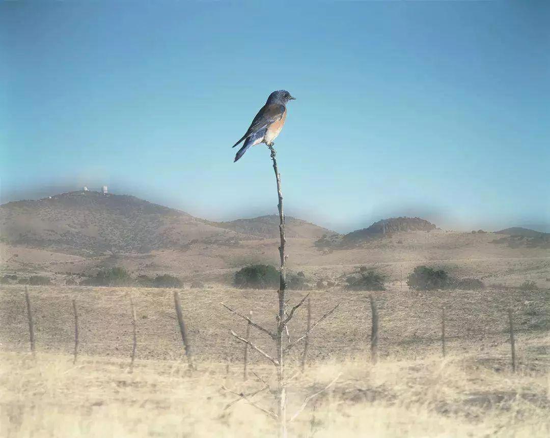 上海未来三周看展指南