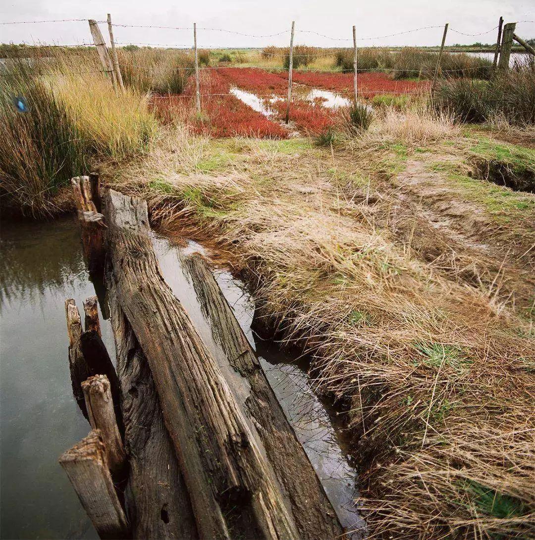上海未来三周看展指南