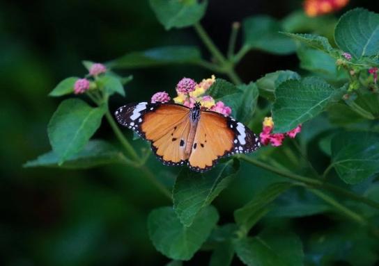 国庆“遛娃”好去处，你打卡了几个？