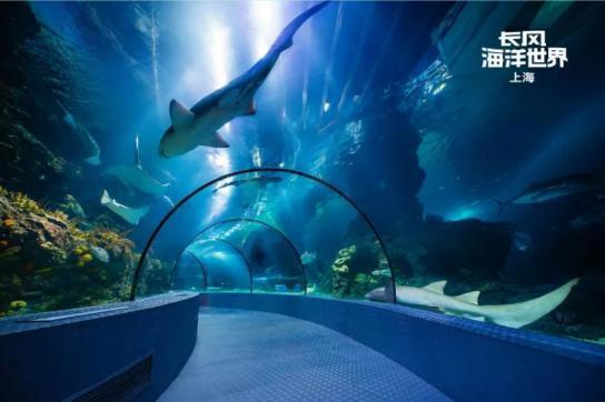 国庆“遛娃”好去处，你打卡了几个？