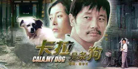 电影中让你泪流满面的那些“毛孩子”们……