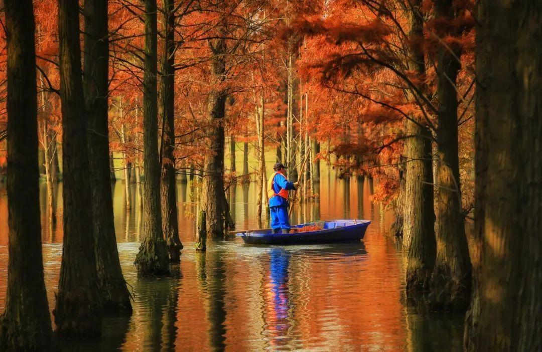 上海周边绝美赏秋地，这15处值得打卡！