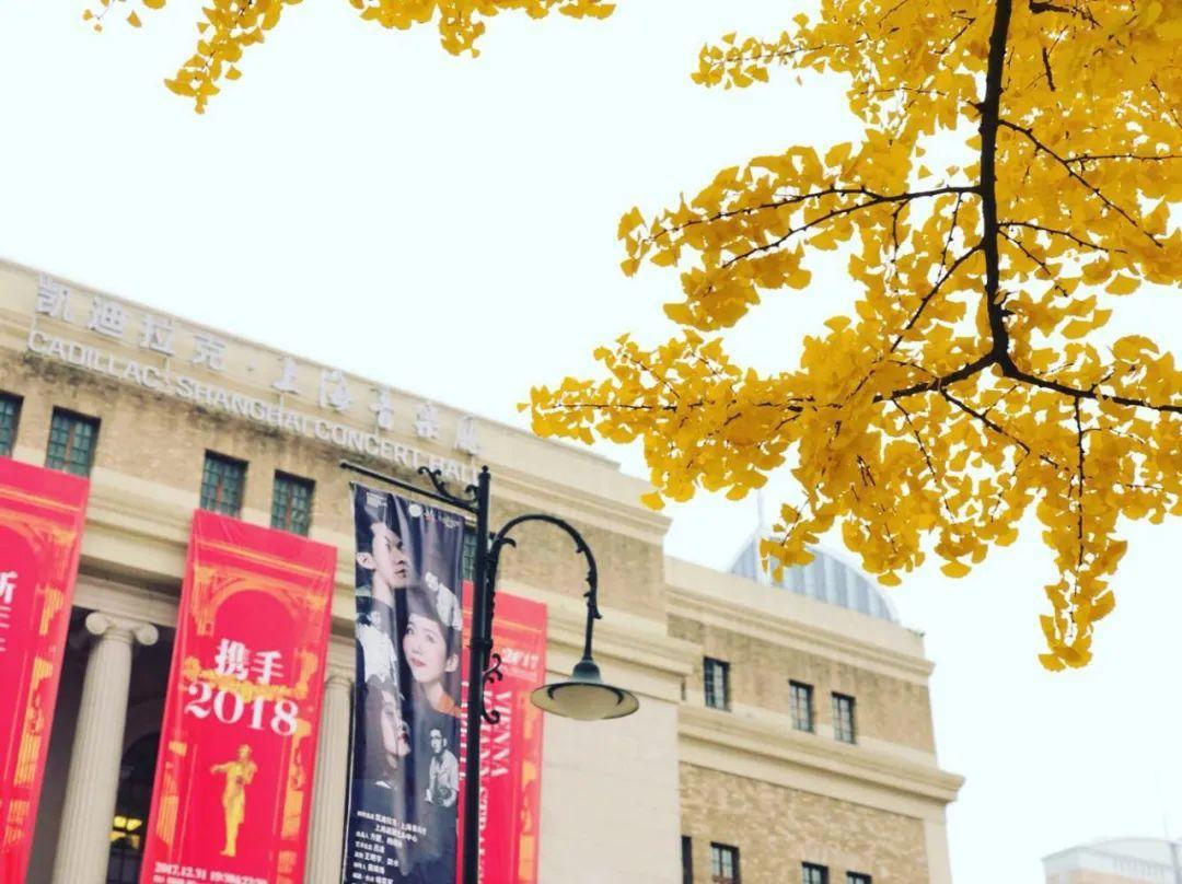 上海周边绝美赏秋地，这15处值得打卡！