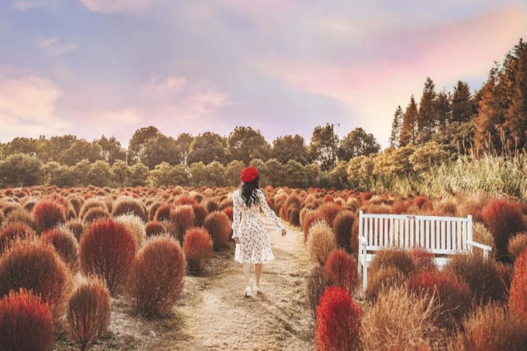 上海周边绝美赏秋地，这15处值得打卡！