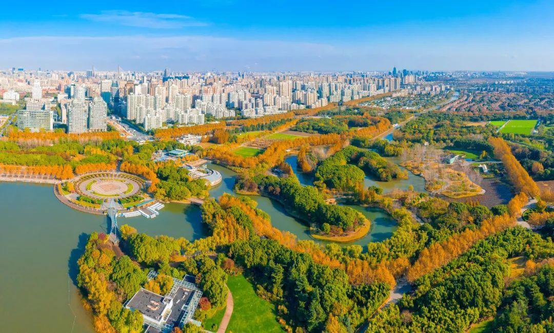 上海周边绝美赏秋地，这15处值得打卡！
