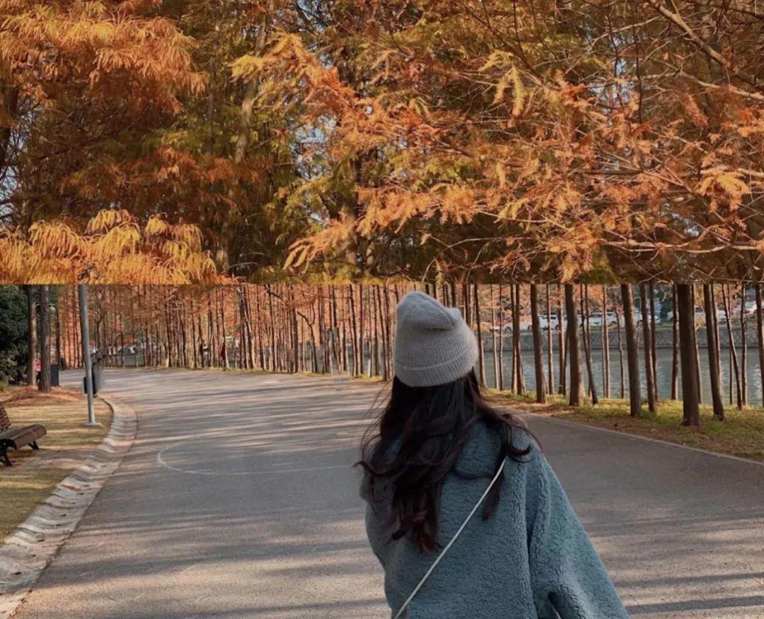 上海周边绝美赏秋地，这15处值得打卡！