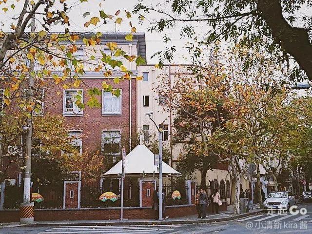 上海周边绝美赏秋地，这15处值得打卡！