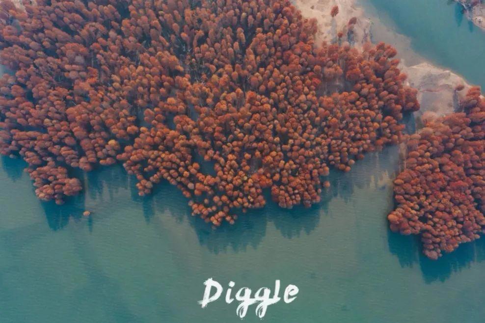 上海周边绝美赏秋地，这15处值得打卡！