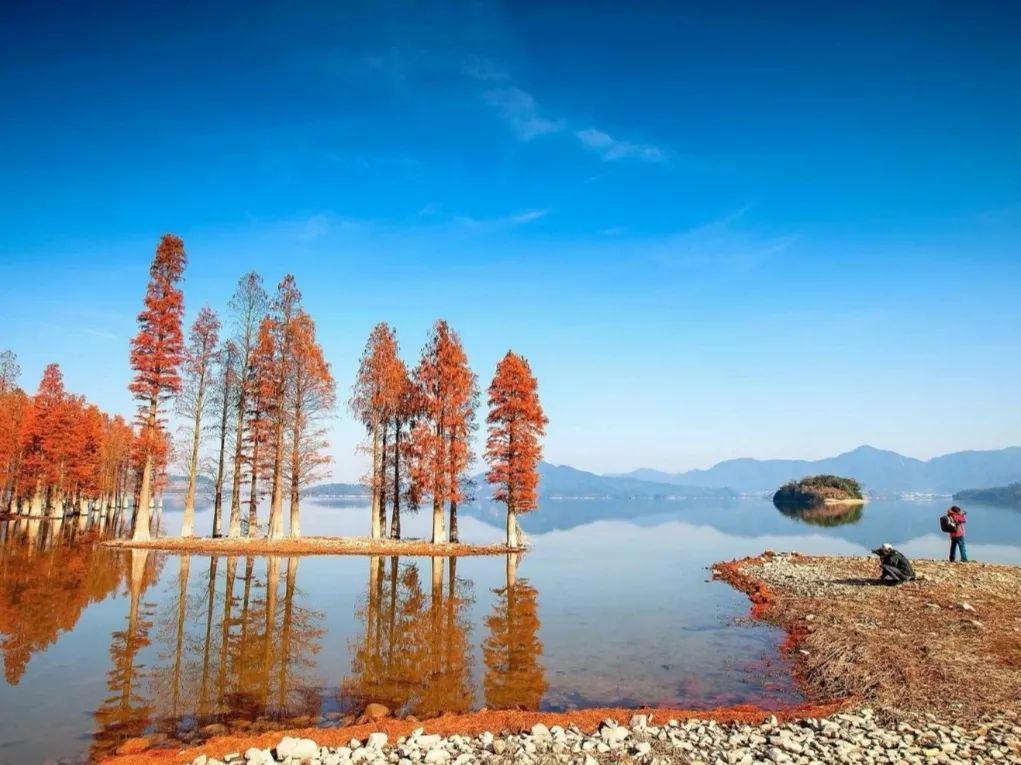 上海周边绝美赏秋地，这15处值得打卡！