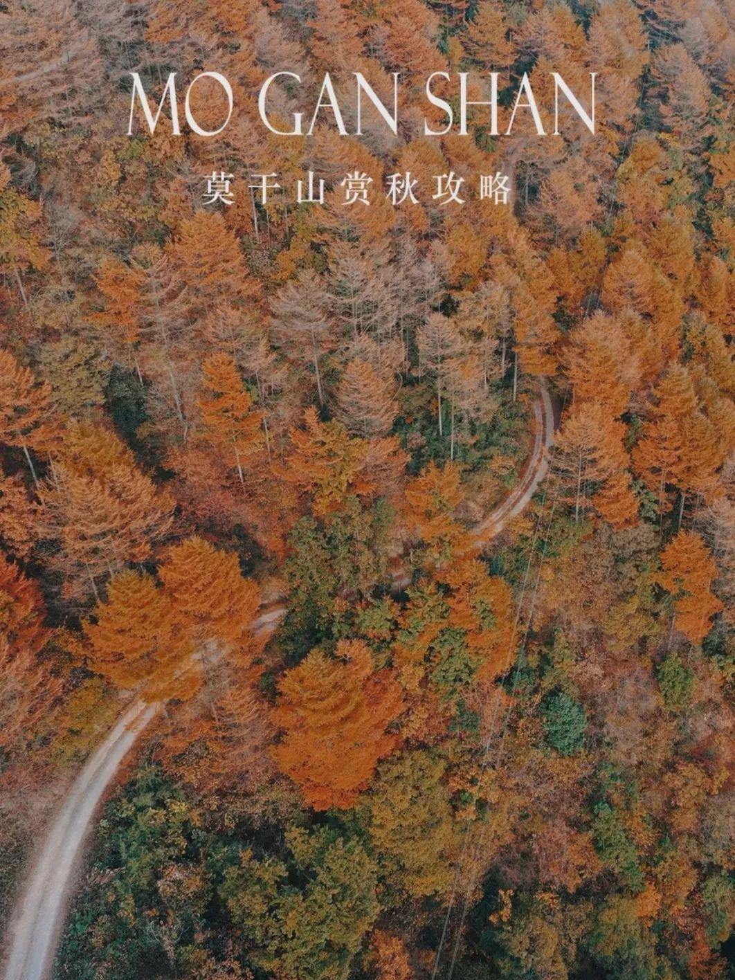 上海周边绝美赏秋地，这15处值得打卡！