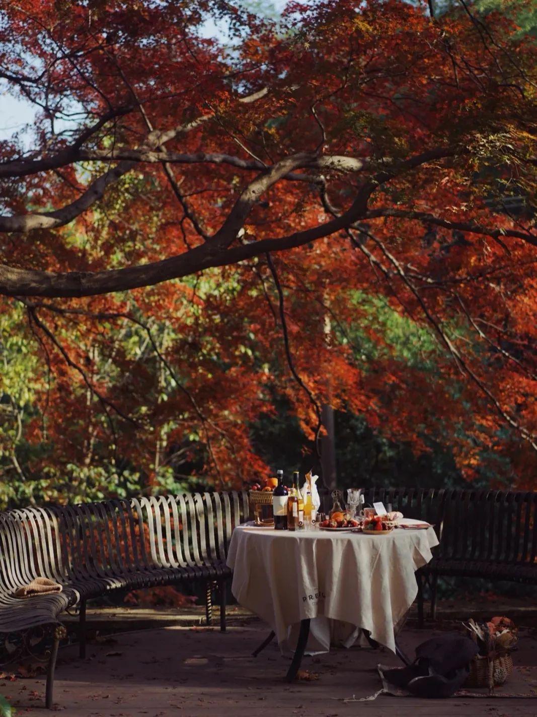 上海周边绝美赏秋地，这15处值得打卡！