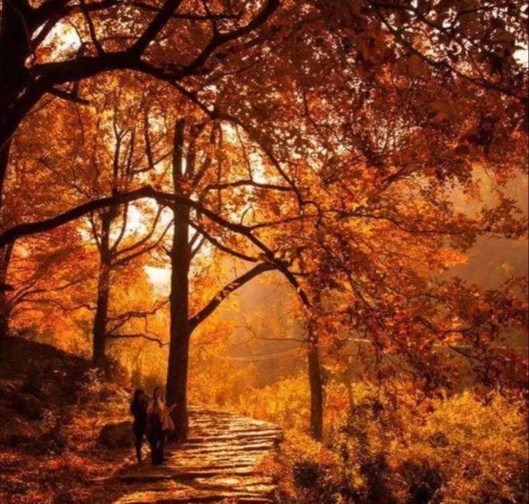 上海周边绝美赏秋地，这15处值得打卡！