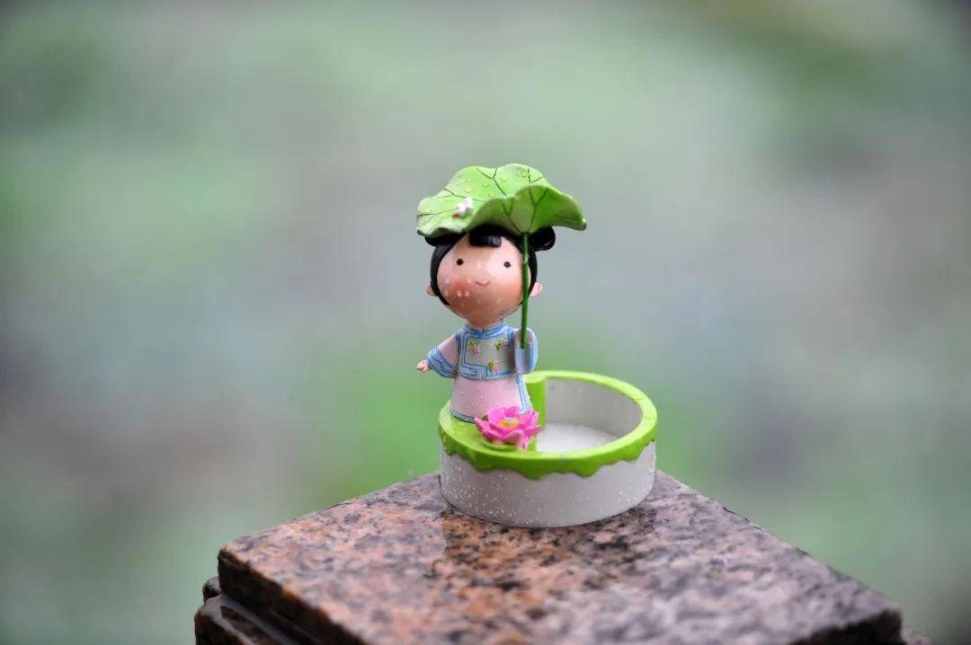 大明湖畔惊现“夏雨荷”……