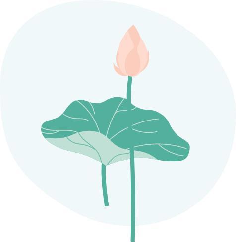大明湖畔惊现“夏雨荷”……