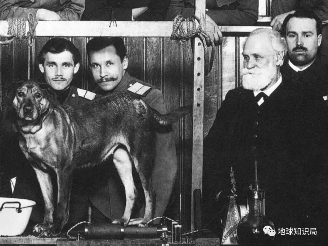 你的血型与性格、智商、社会地位，真的有关系么？