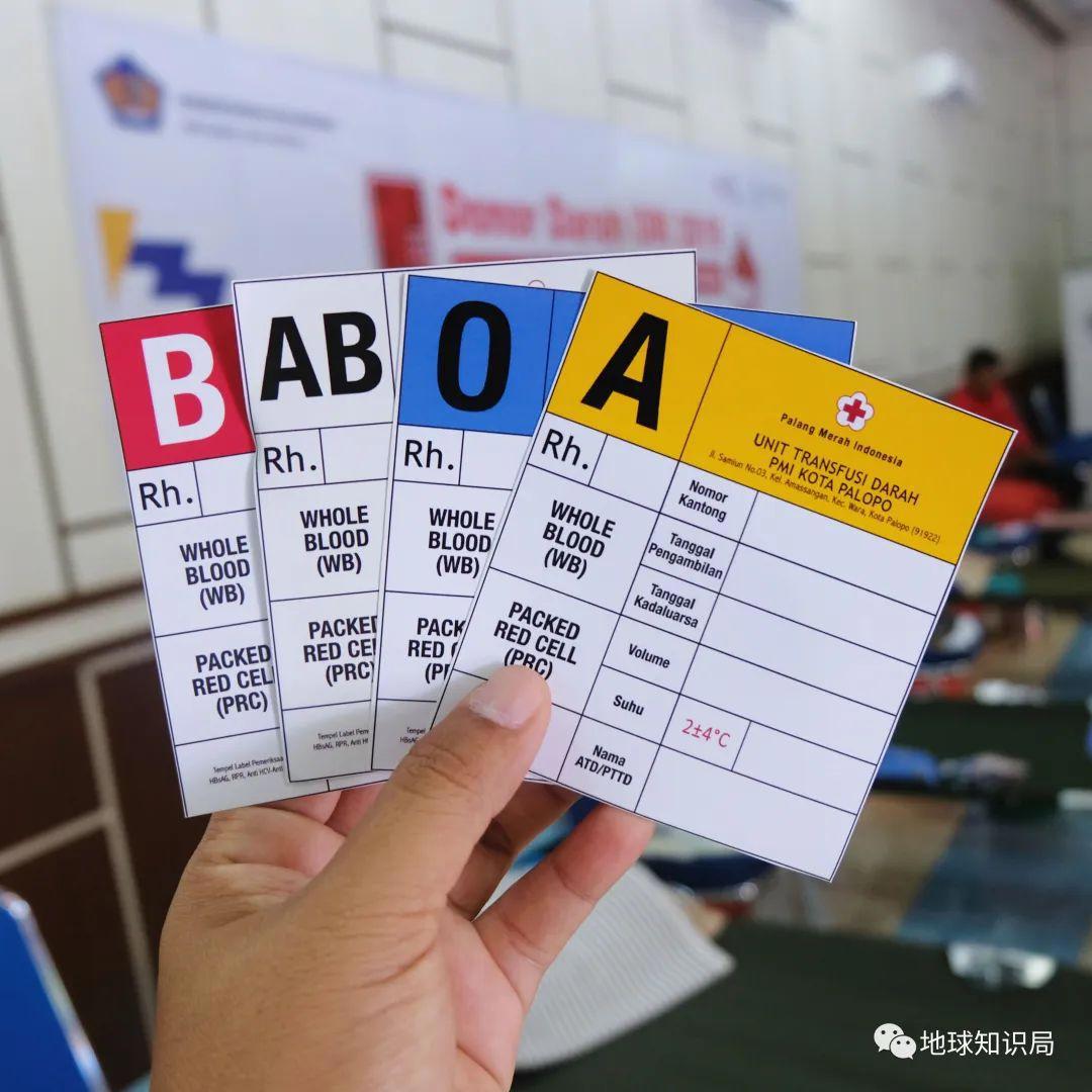 你的血型与性格、智商、社会地位，真的有关系么？