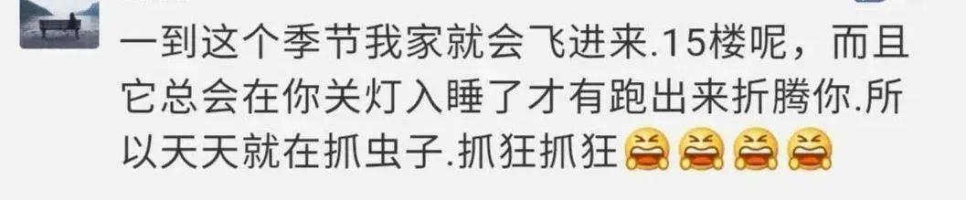 破案了！最近许多人家里抓到的奇怪小黑虫，是它！你见过吗？