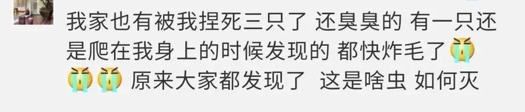破案了！最近许多人家里抓到的奇怪小黑虫，是它！你见过吗？