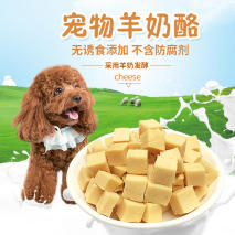 养狗和养猫，其实过得是不一样的人生！