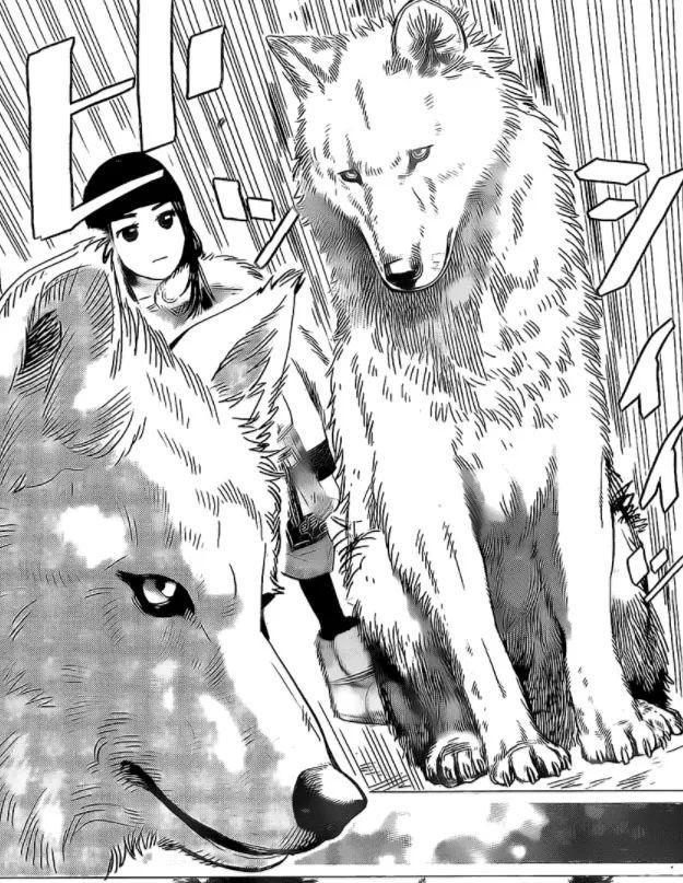 人类加班，遭殃的是狼和鲸鱼