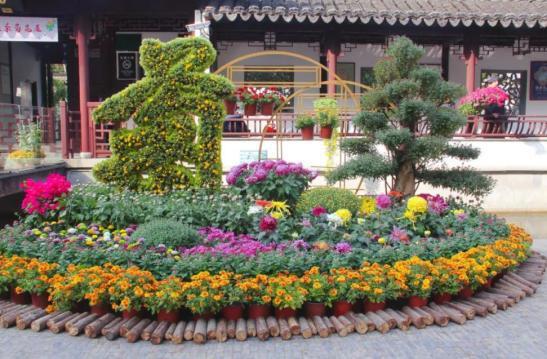 【乐游】赏花、采摘、秋游，超多文旅展演活动等您来约~