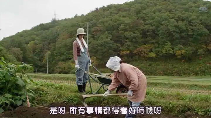 这些日本舞伎的日常料理为什么治愈了异乡社畜的心？