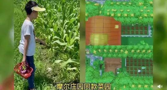 苏州这位奶爸火了！网友直呼羡慕