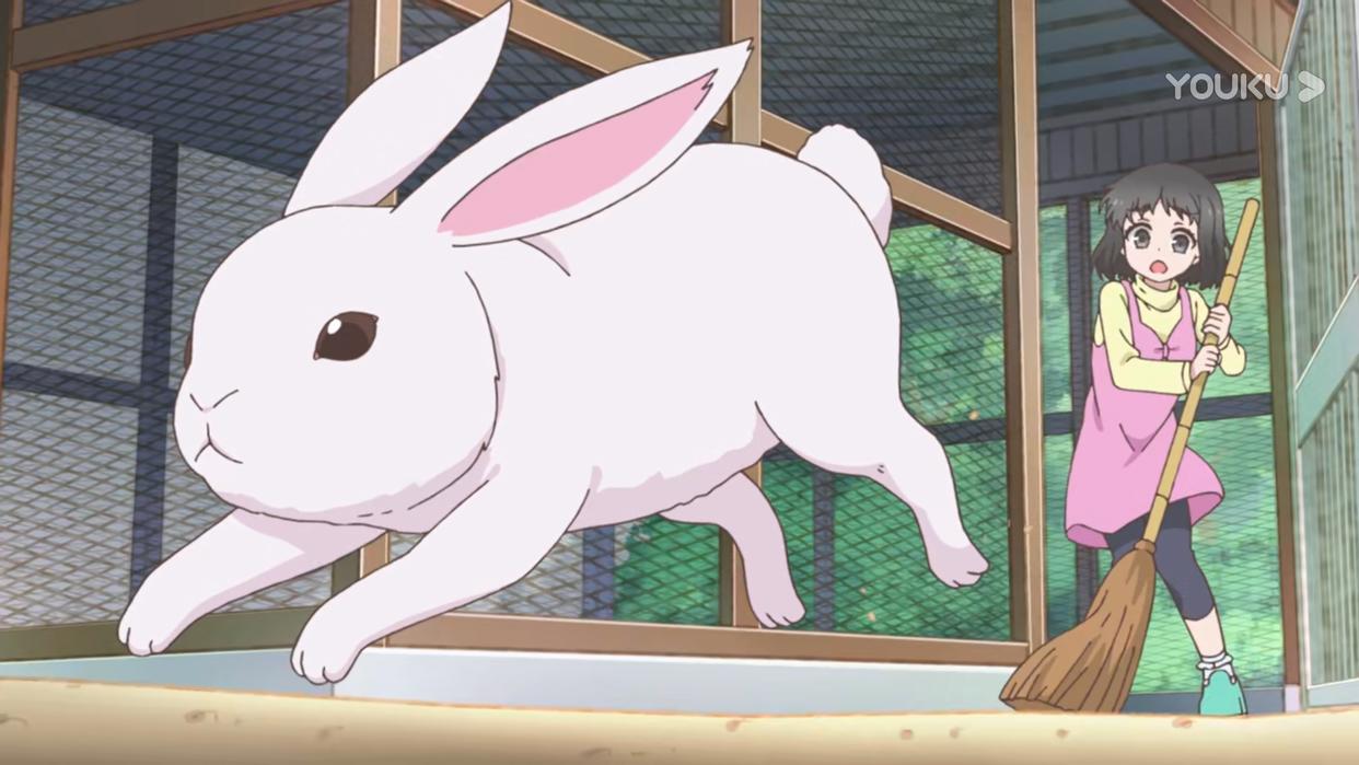 音：我喜欢我小学同学；惠：我喜欢我哥哥的朋友；她：我喜欢我老师