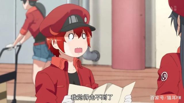 18年最受动漫迷支持女声优评选中间结果悠木碧领先