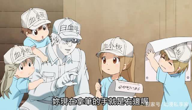 最好看的夏季动画排名《工作细胞》夺冠