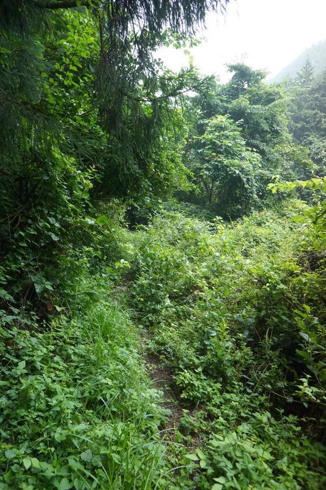 《登山少女》中真实场地：现实比动画危险一百倍，说不定会死人