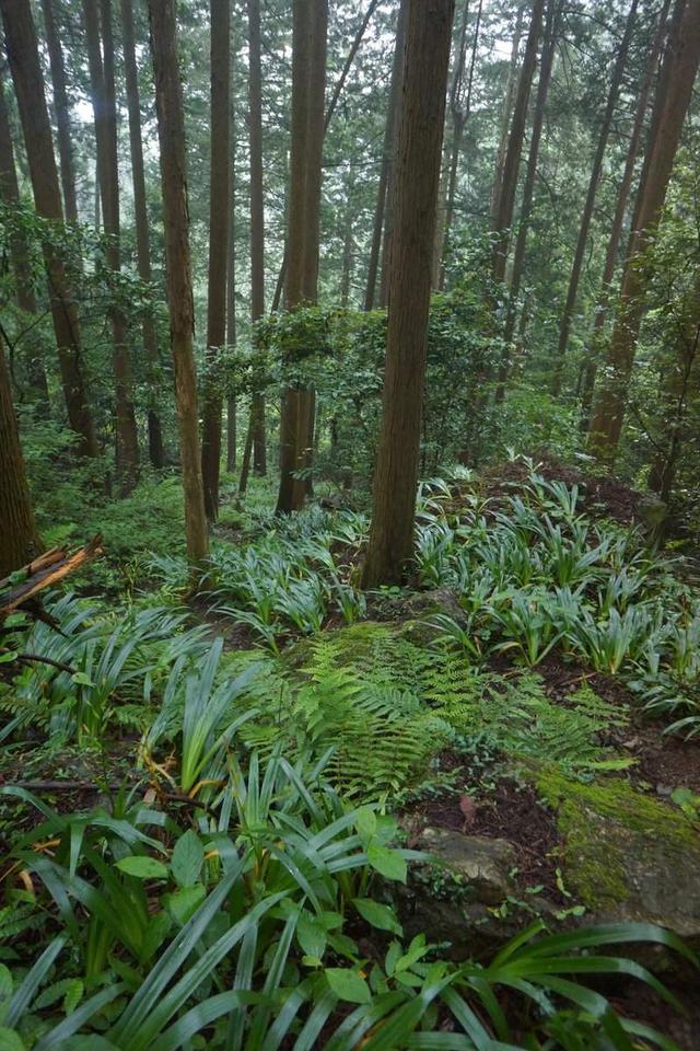 《登山少女》中真实场地：现实比动画危险一百倍，说不定会死人