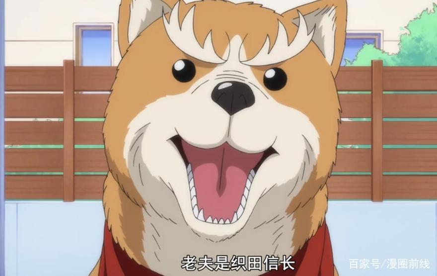 日本影视最忙的历史人物：织田信长这回变成狗了？