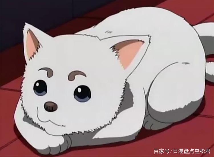 动漫中那些可爱的狗狗，你最喜欢哪一个？