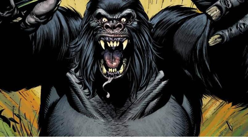 女孩子像猩猩也很可爱，日媒投票那些被吐槽像猩猩的动画角色排行