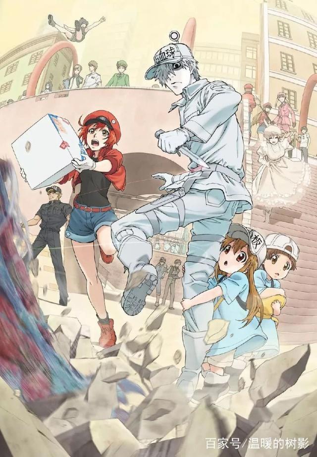 硬核知识型动画TOP10！信息量爆棚！学渣逆袭之道！
