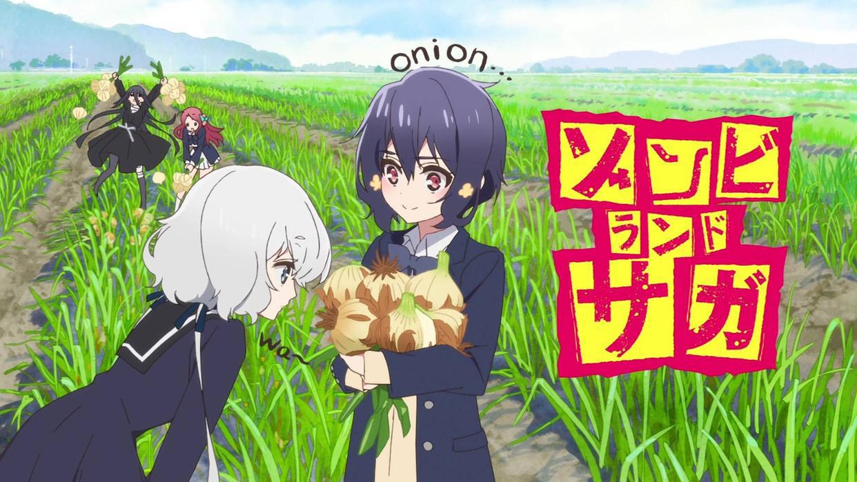 一部动画都不给？神作动漫白箱下架，因为这个和B站有过节的代理