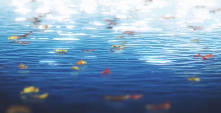 《紫罗兰永恒花园》出画册了！每一帧都是壁纸，堪称日漫画质巅峰