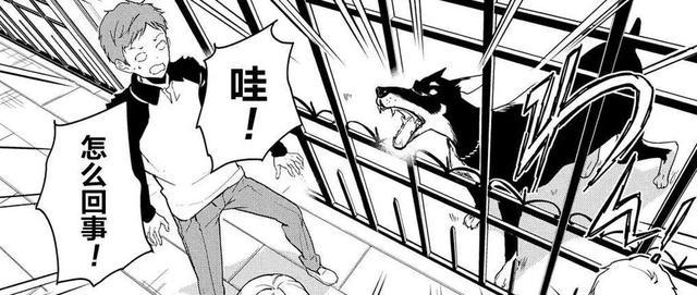 政宗君的复仇：轮到我出场了，我会一直陪伴着你