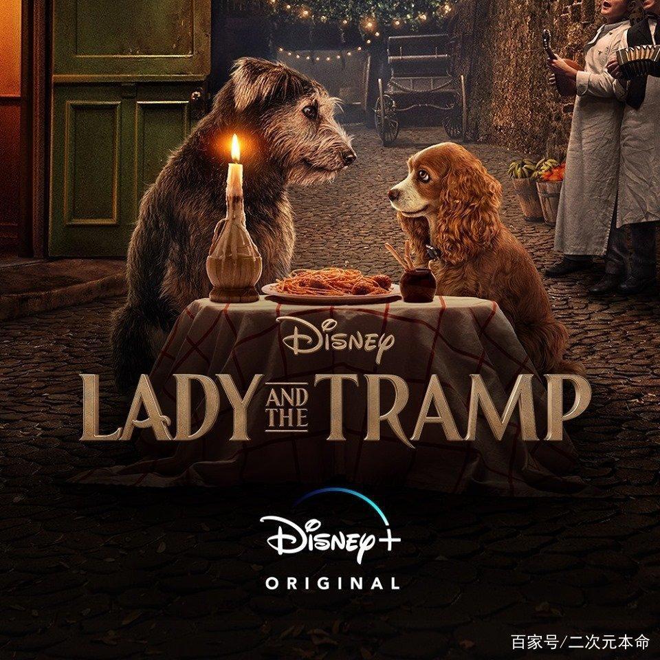 迪士尼《小姐与流浪汉》真狗版登场，狗狗出席首映会表示一脸懵