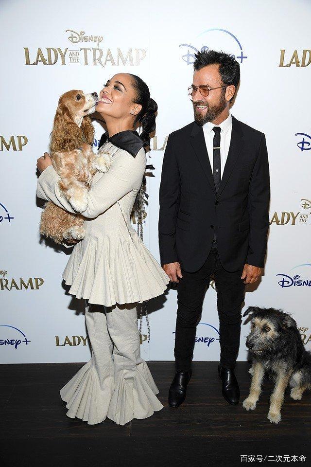 迪士尼《小姐与流浪汉》真狗版登场，狗狗出席首映会表示一脸懵