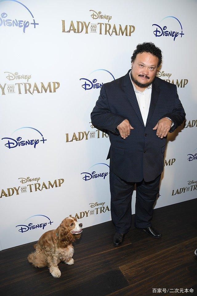 迪士尼《小姐与流浪汉》真狗版登场，狗狗出席首映会表示一脸懵